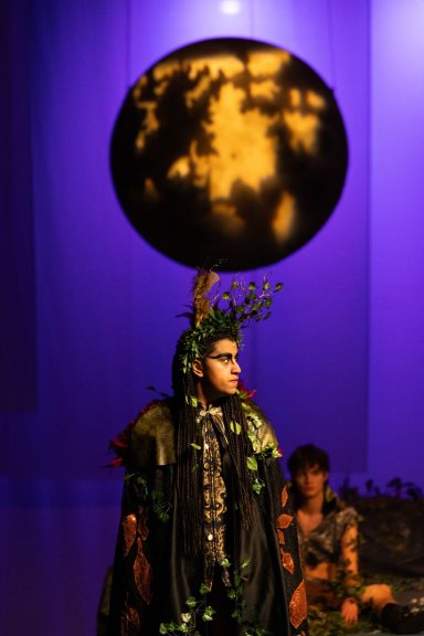 A Midsummer Night's Dream
